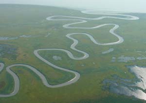 Susitna Flats